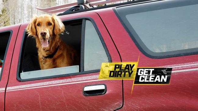 Dog in the open window of a red SUV - Play Dirty Get Clean